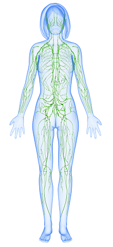 7 Ways to Improve Lymphatic Health in Amarillo